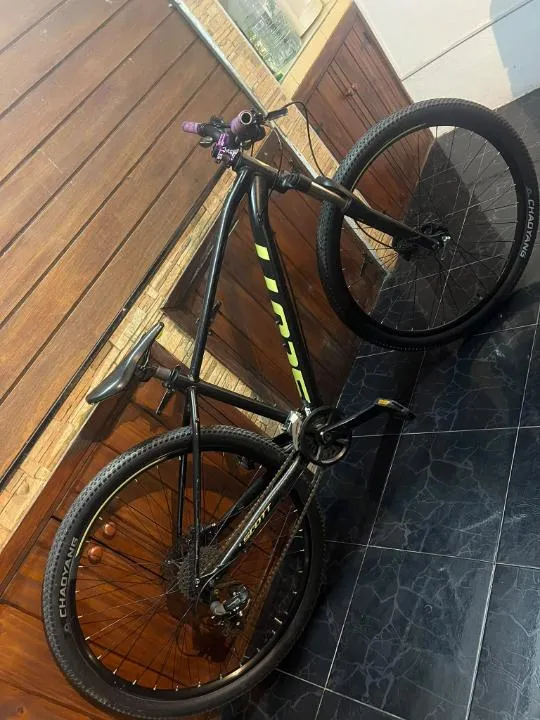 Scott — foto 2